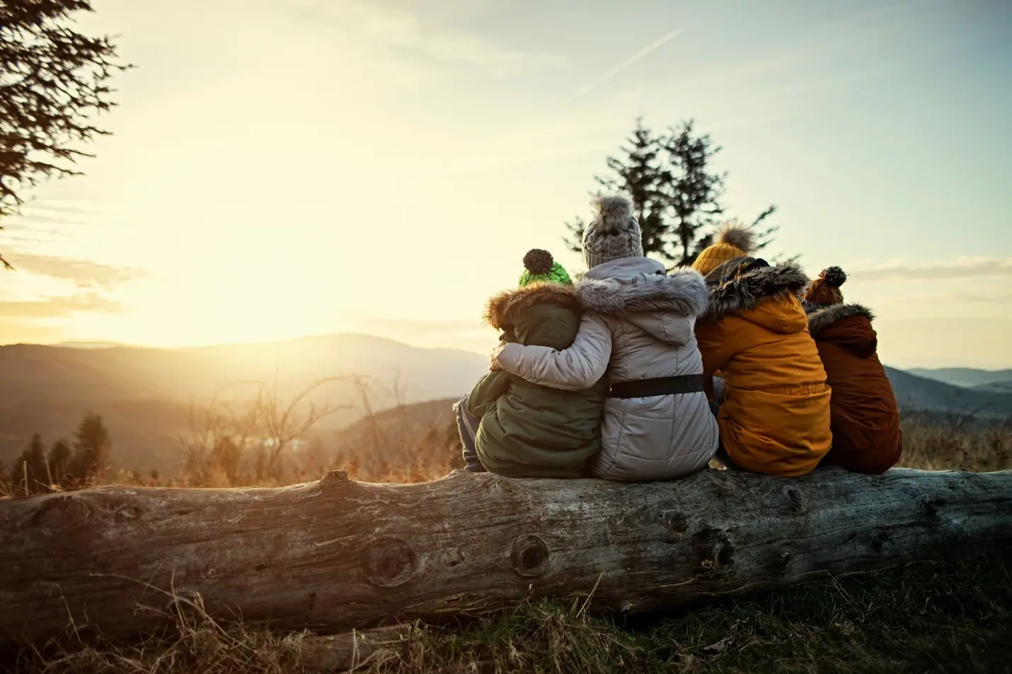 A group of people sitting on top of a tree.